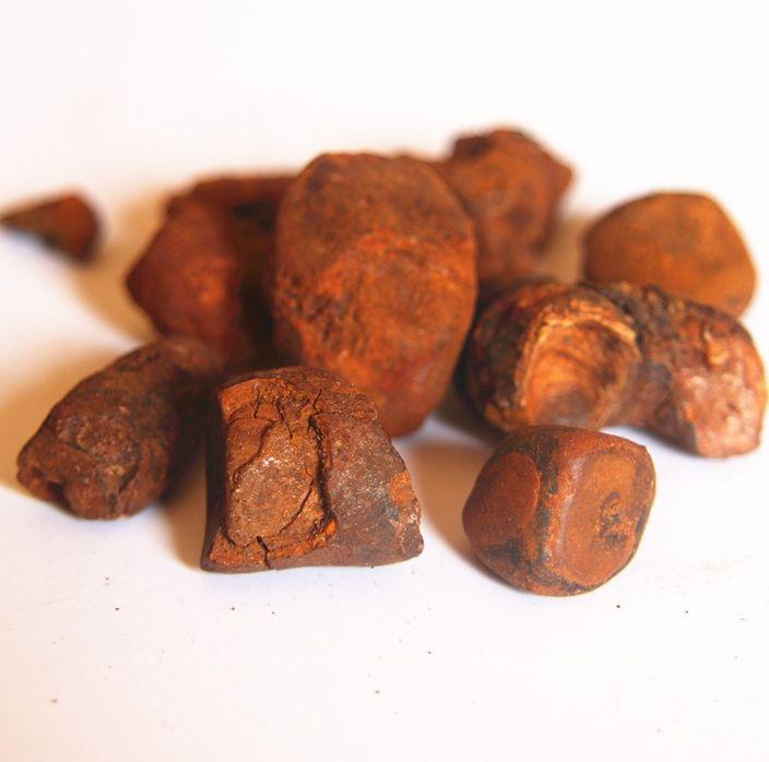 Cálculo biliar bovino, subproduto de origem bovina
